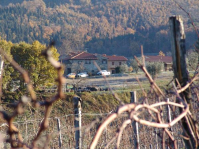 Отель Agriturismo Il Trebbio  Пелаго